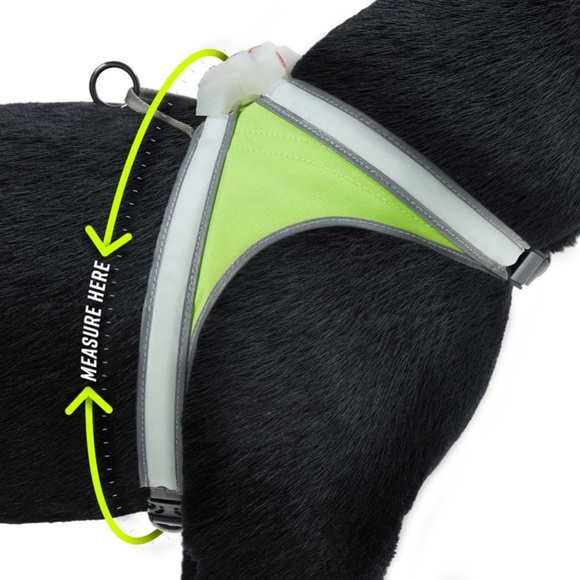 Noxgear | LightHound | Multi-Color Dog Light Harness | Medium | New in Box - Picture 7 of 16